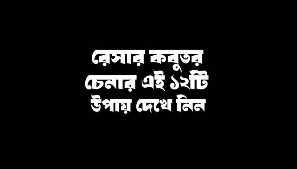 রেসার কবুতর চেনার উপায়