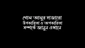 গোল আলুর উপকারিতা ও অপকারিতা সম্পর্কে জানুন