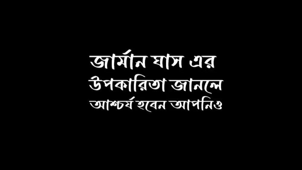 জার্মান ঘাস এর উপকারিতা